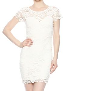Ambiance Lace dress